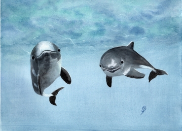 Postkarte DIN-A6  Aquarell Maritim Kunst Druck Kunstdruck Dänemark Nordsee Ostsee Wal Pottwal Schweinswale Schweinswal